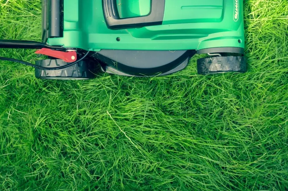 Estate Garden Clean-Up Melbourne